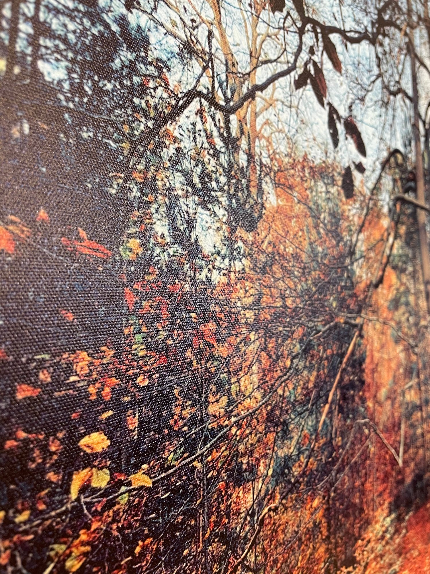 Image of Al Fresco (60x80)