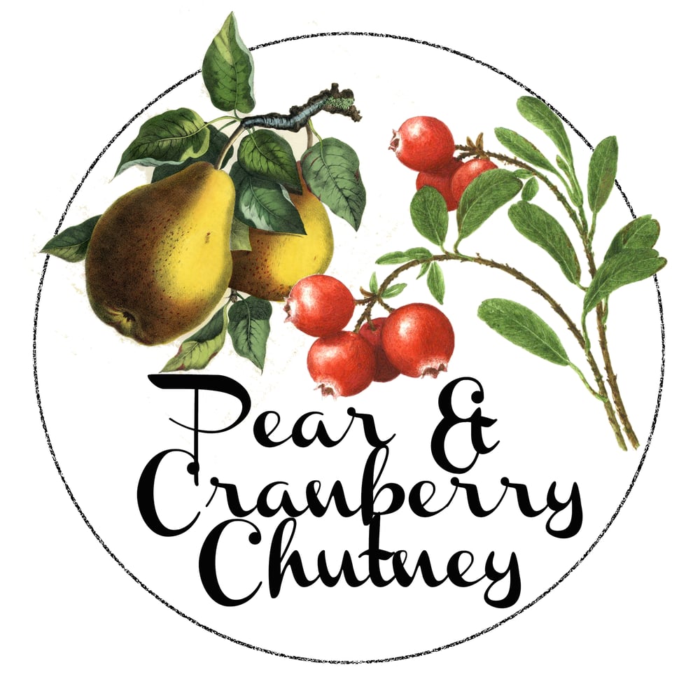 Image of Pear & Cranberry Chutney : Great Taste Awards 2022 One ⭐
