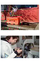 Image 4 of TURKEY NECK 7.5