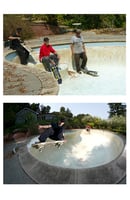 Image 3 of TURKEY NECK 7.5