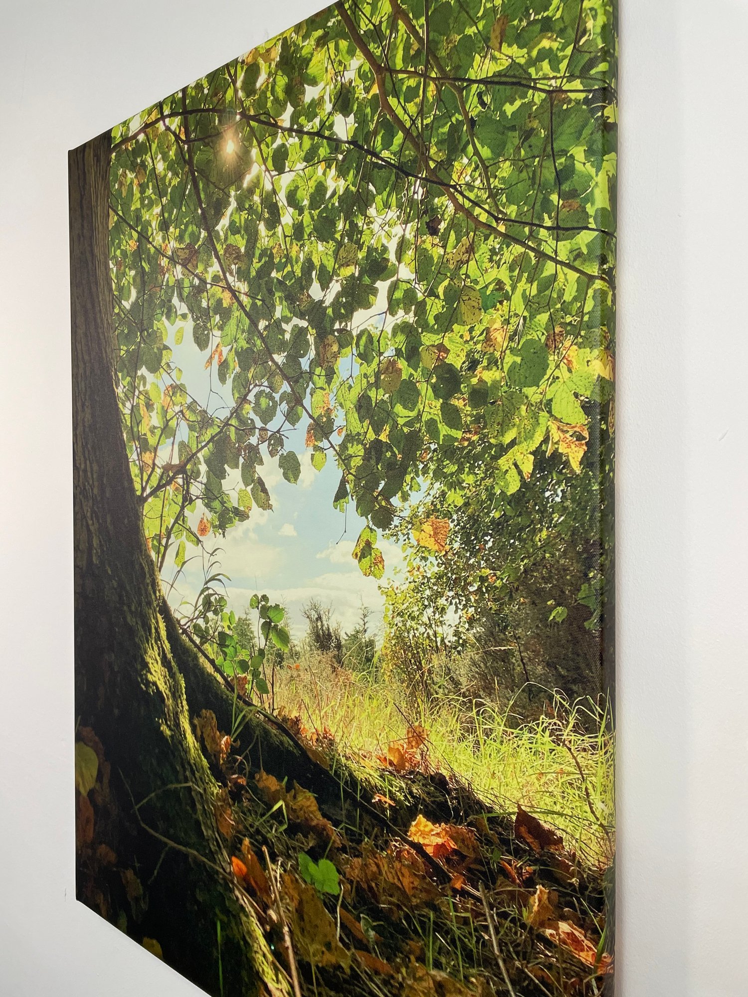 Image of Wonderland (60x80)