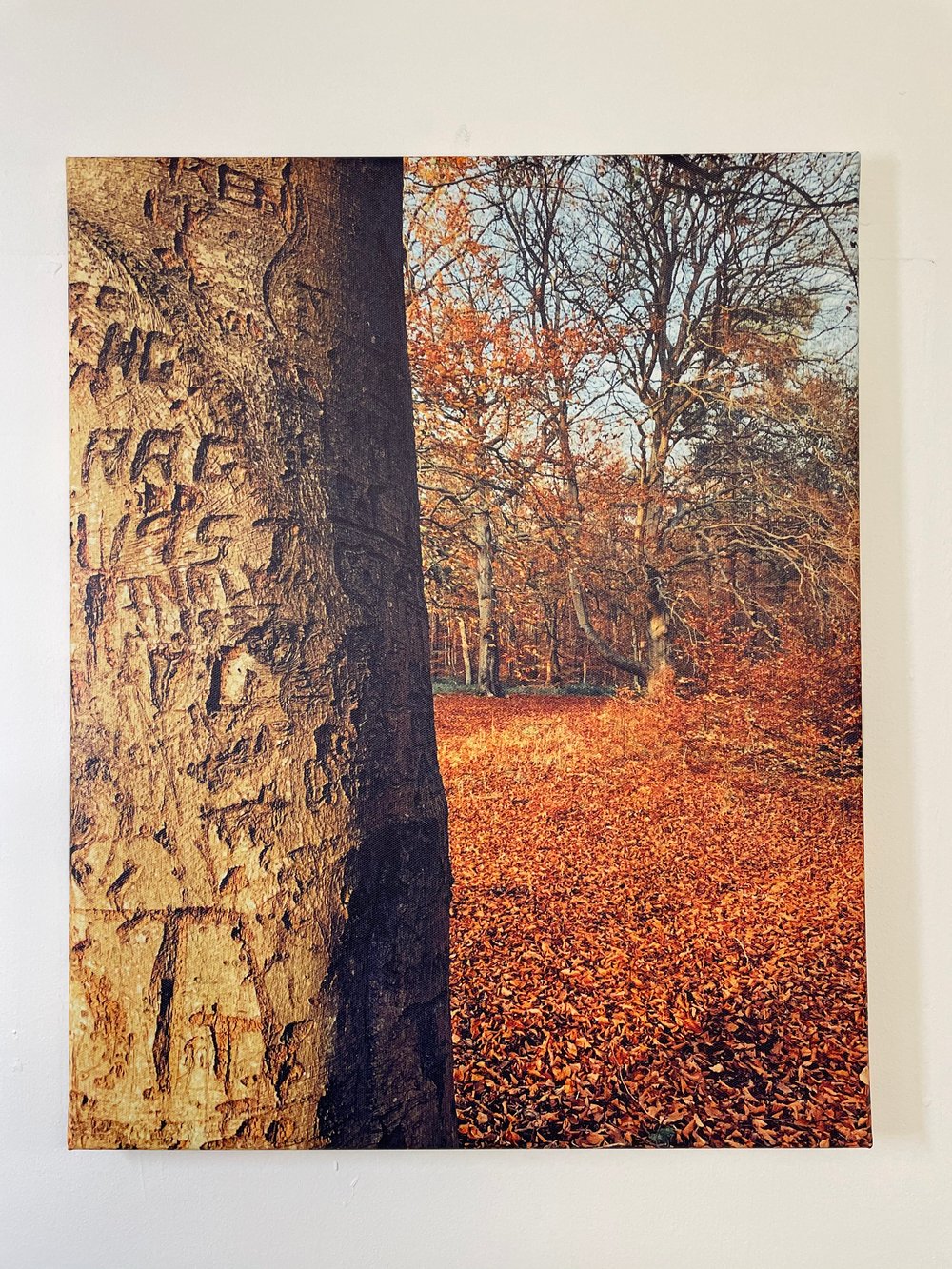 Image of Tree Ink (60x80)