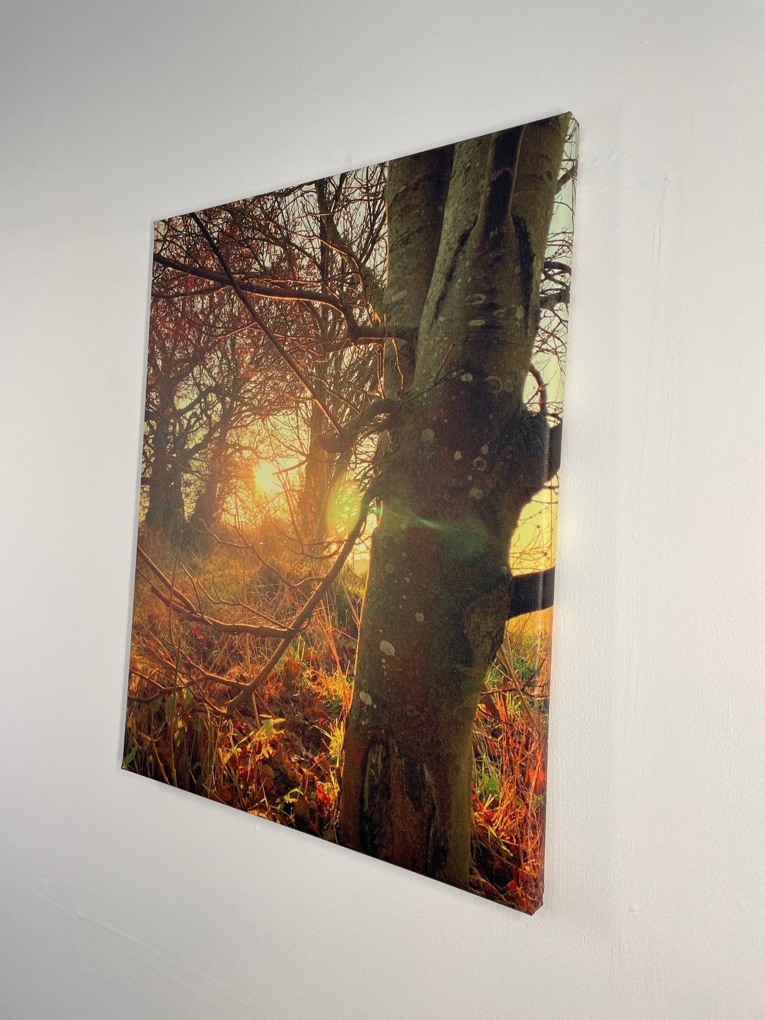 Image of Late Light (40x50)
