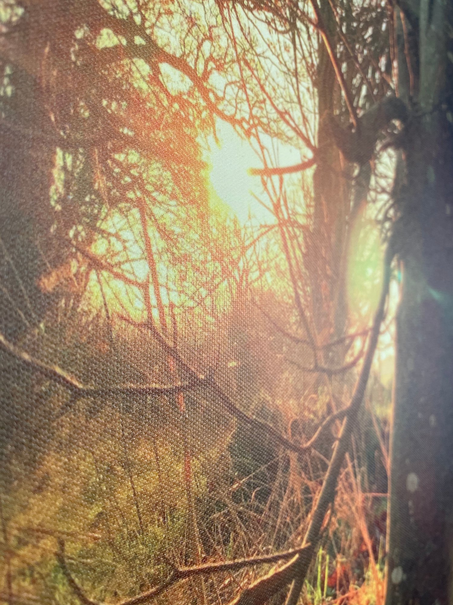 Image of Late Light (40x50)