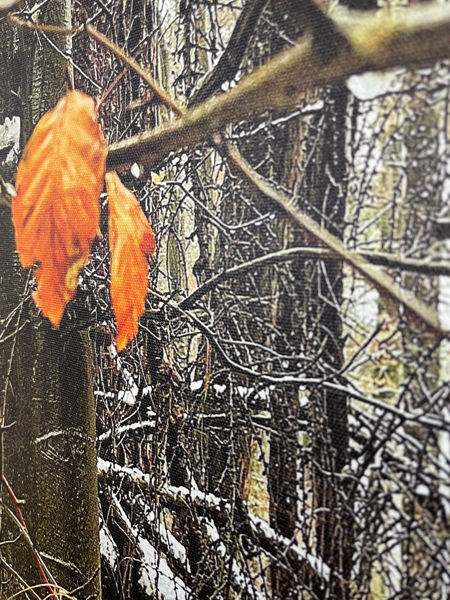 Image of Winter Trees (60x80)