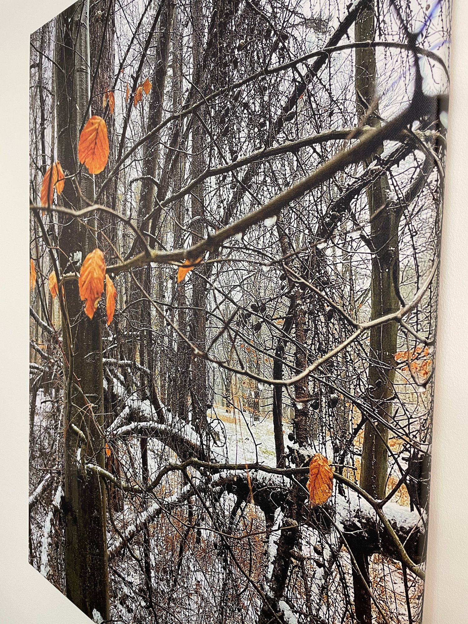 Image of Winter Trees (60x80)
