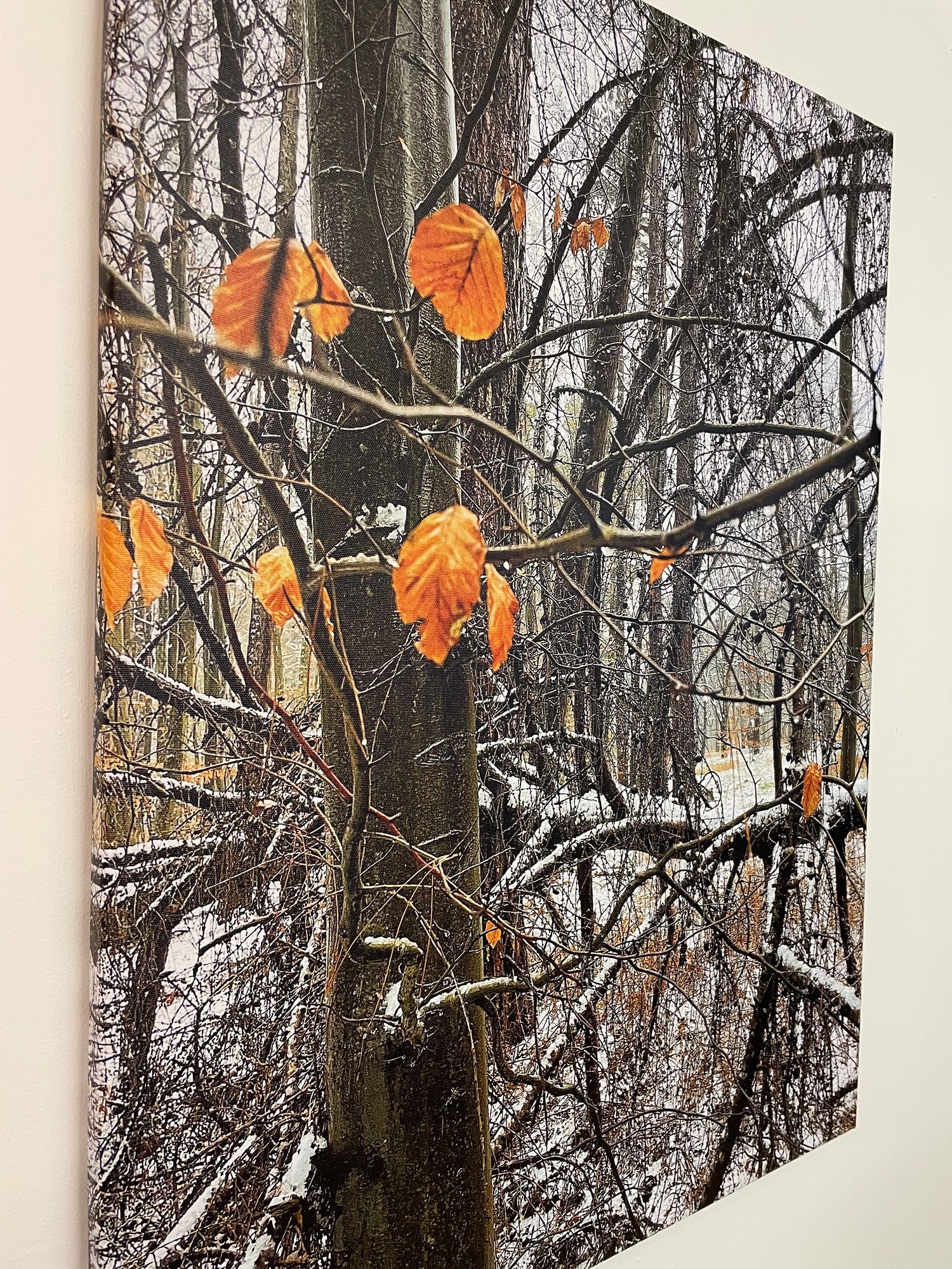 Image of Winter Trees (60x80)