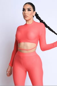 Pink net two piece set 