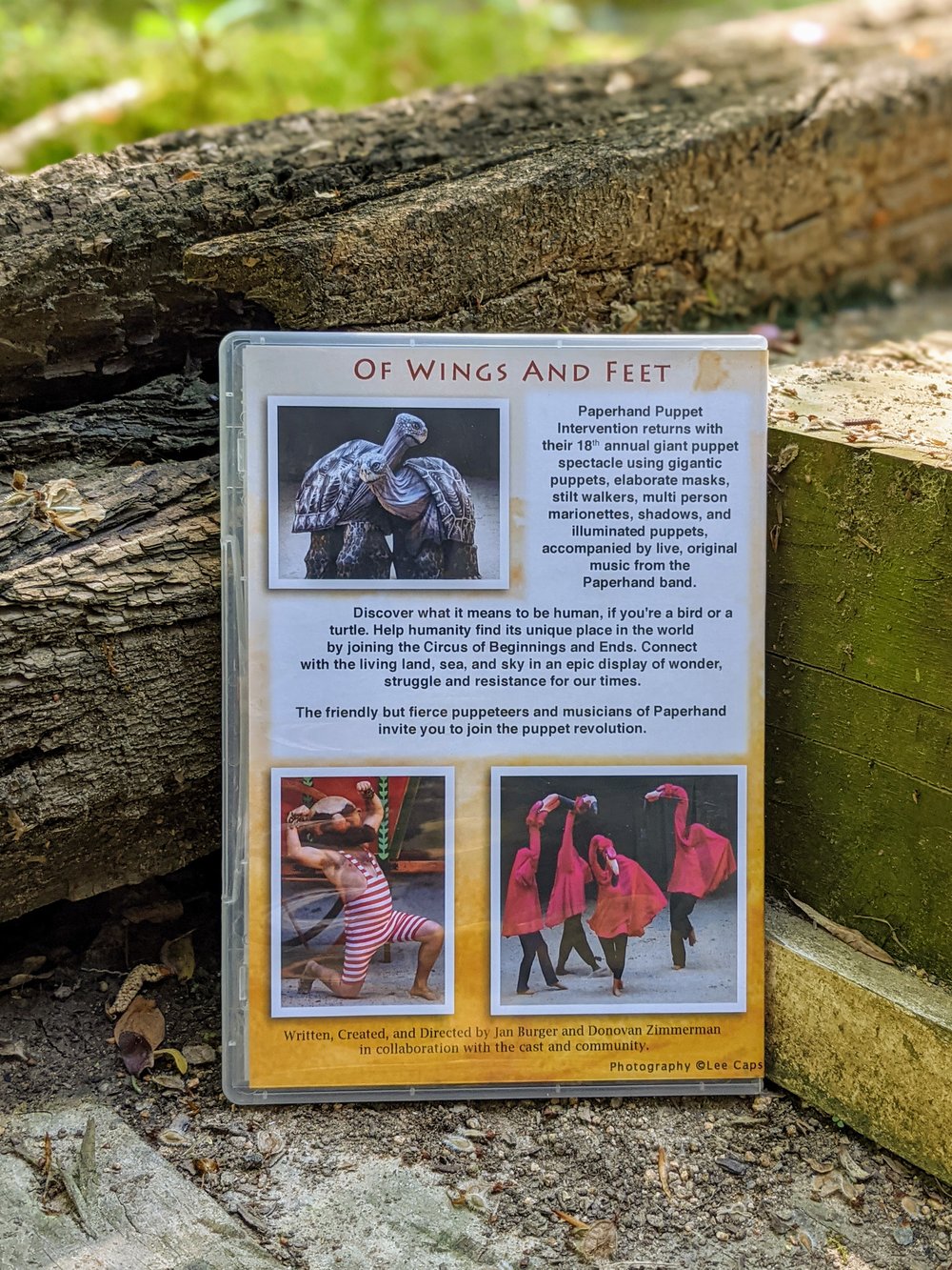 Image of Of Wings and Feet DVD