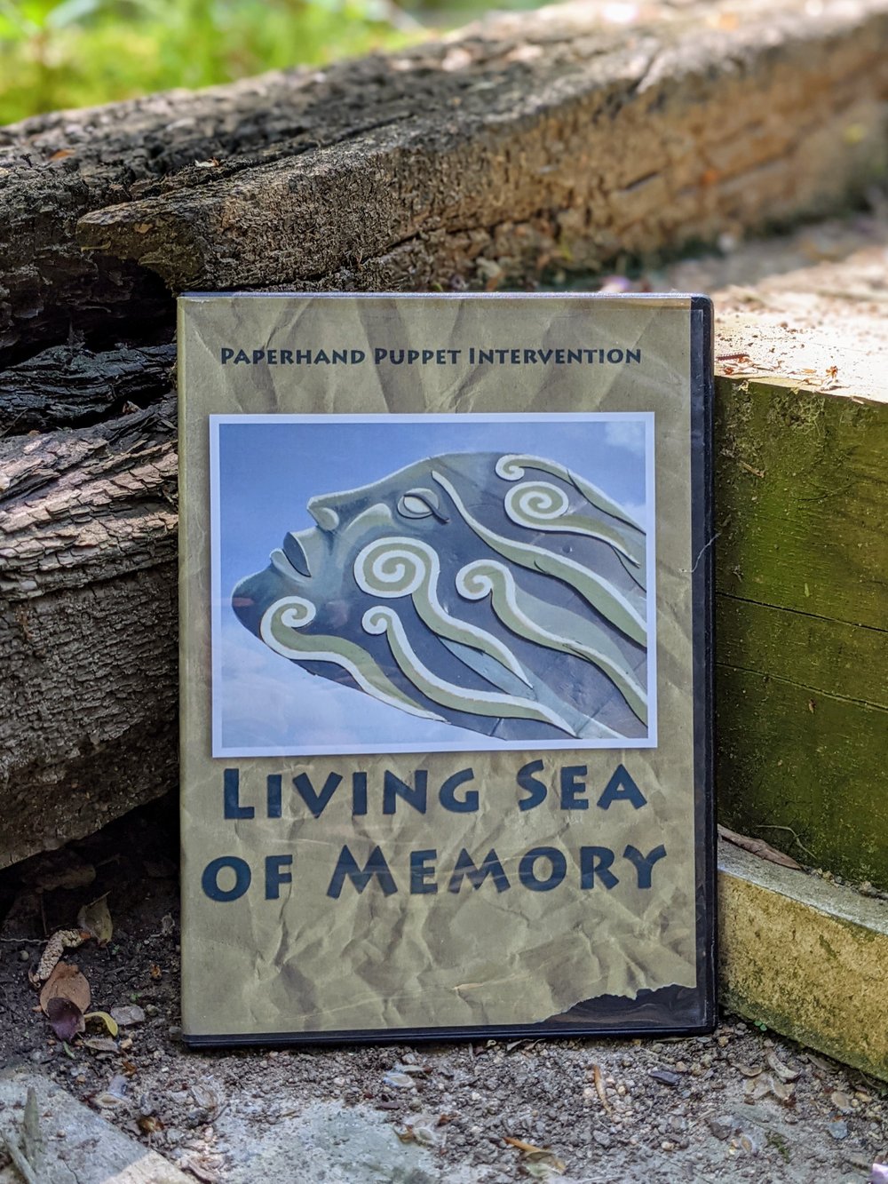 Image of Living Sea of Memory DVD