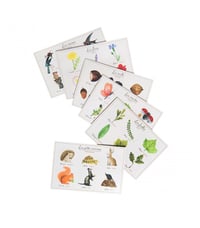 Image 5 of Nature Lotto game Le jardin du Moulin