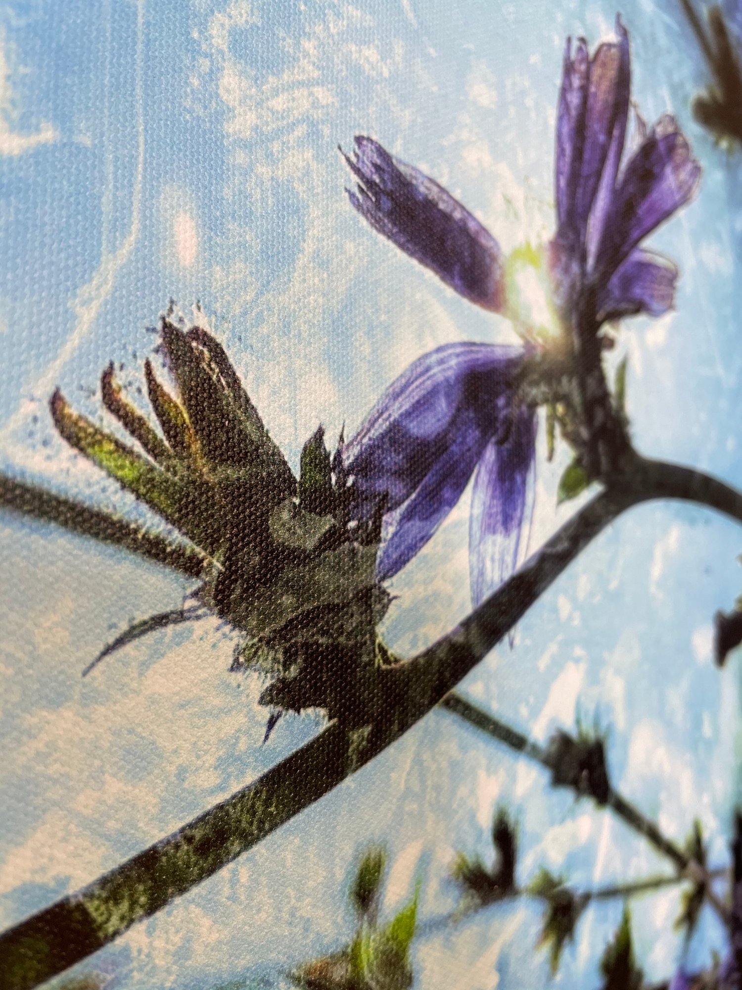 Image of Fairytale (40x50)