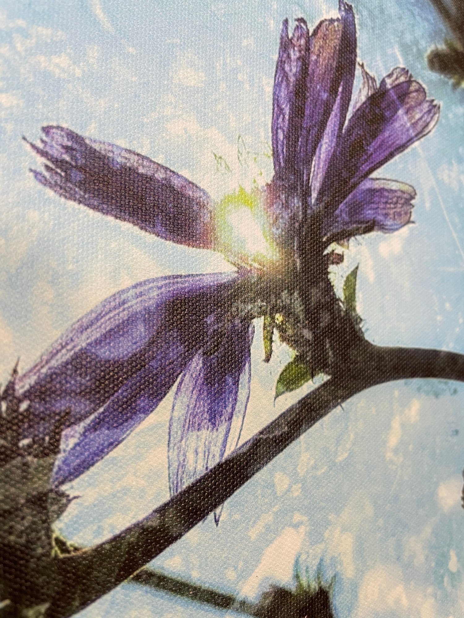 Image of Fairytale (40x50)