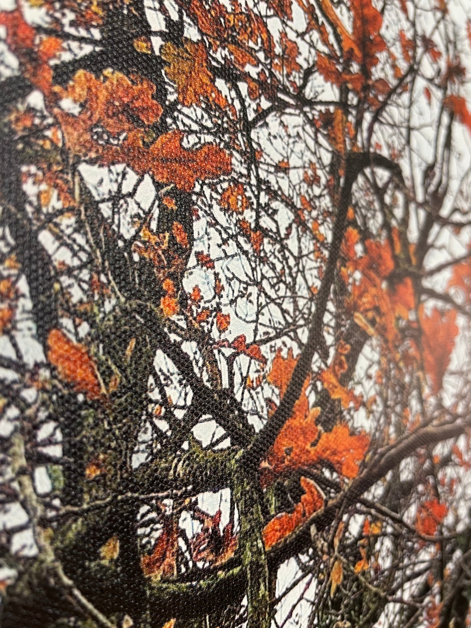 Image of Tangerine Skies (40x50)