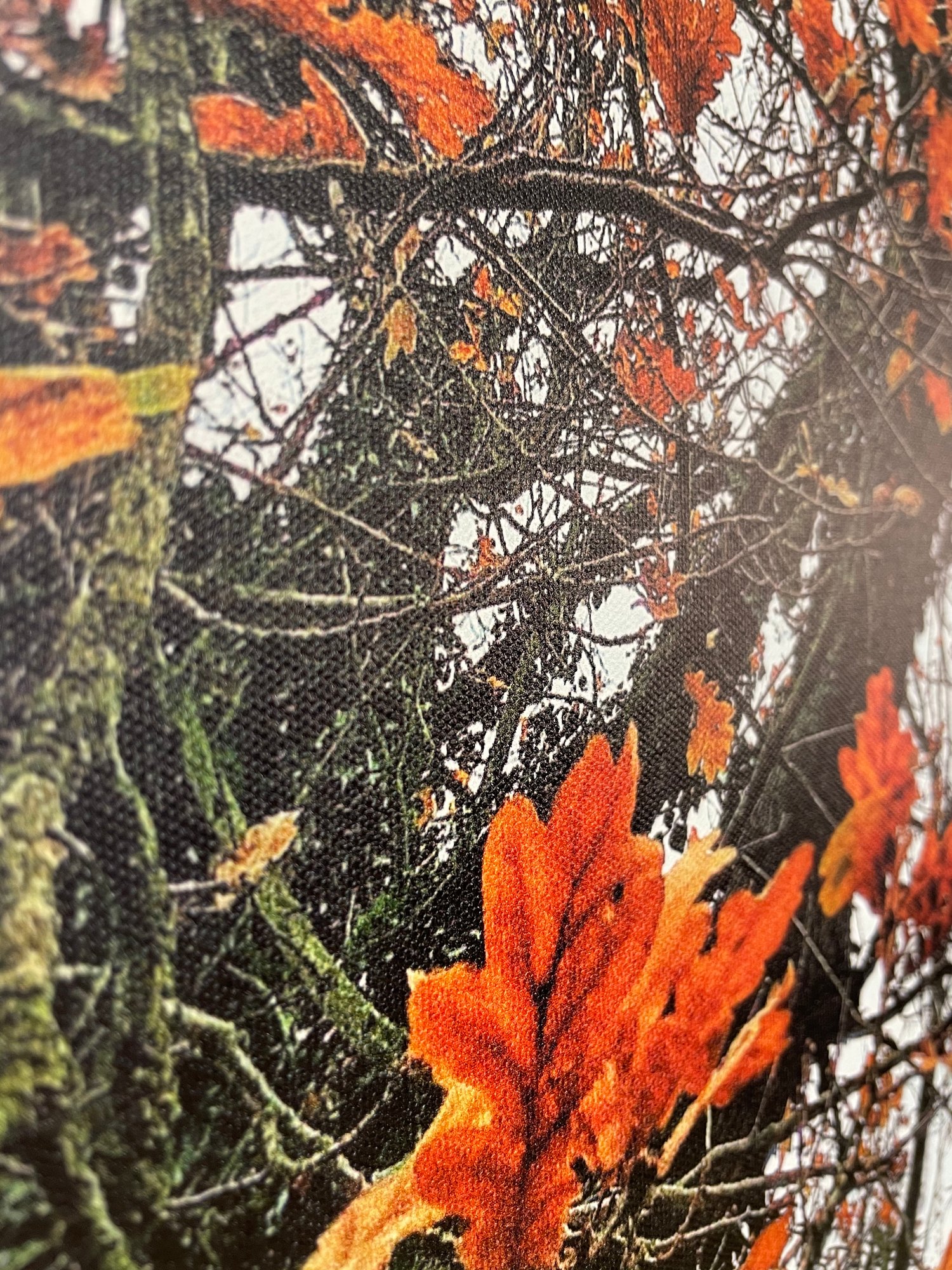 Image of Tangerine Skies (40x50)