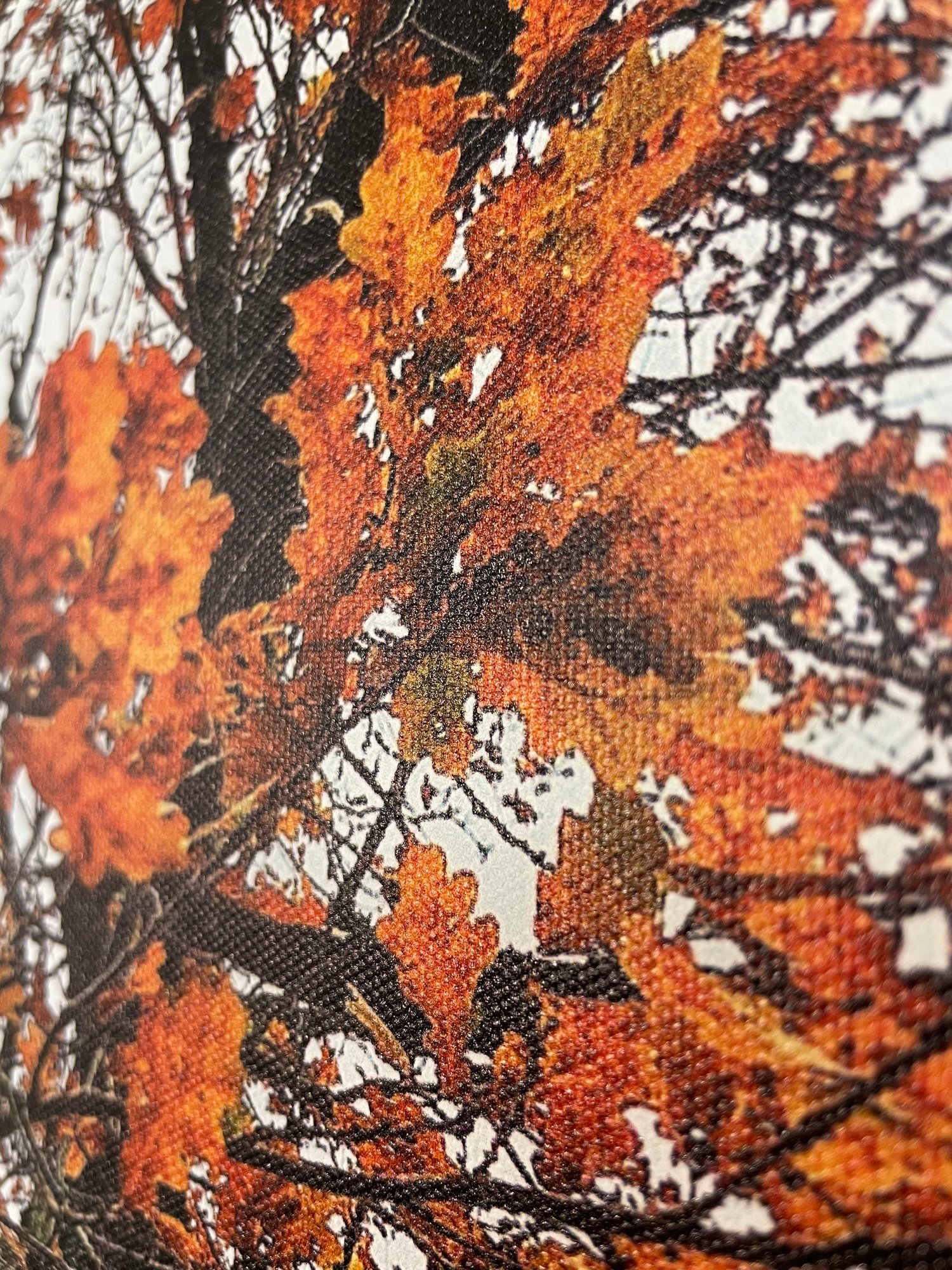 Image of Tangerine Skies (40x50)