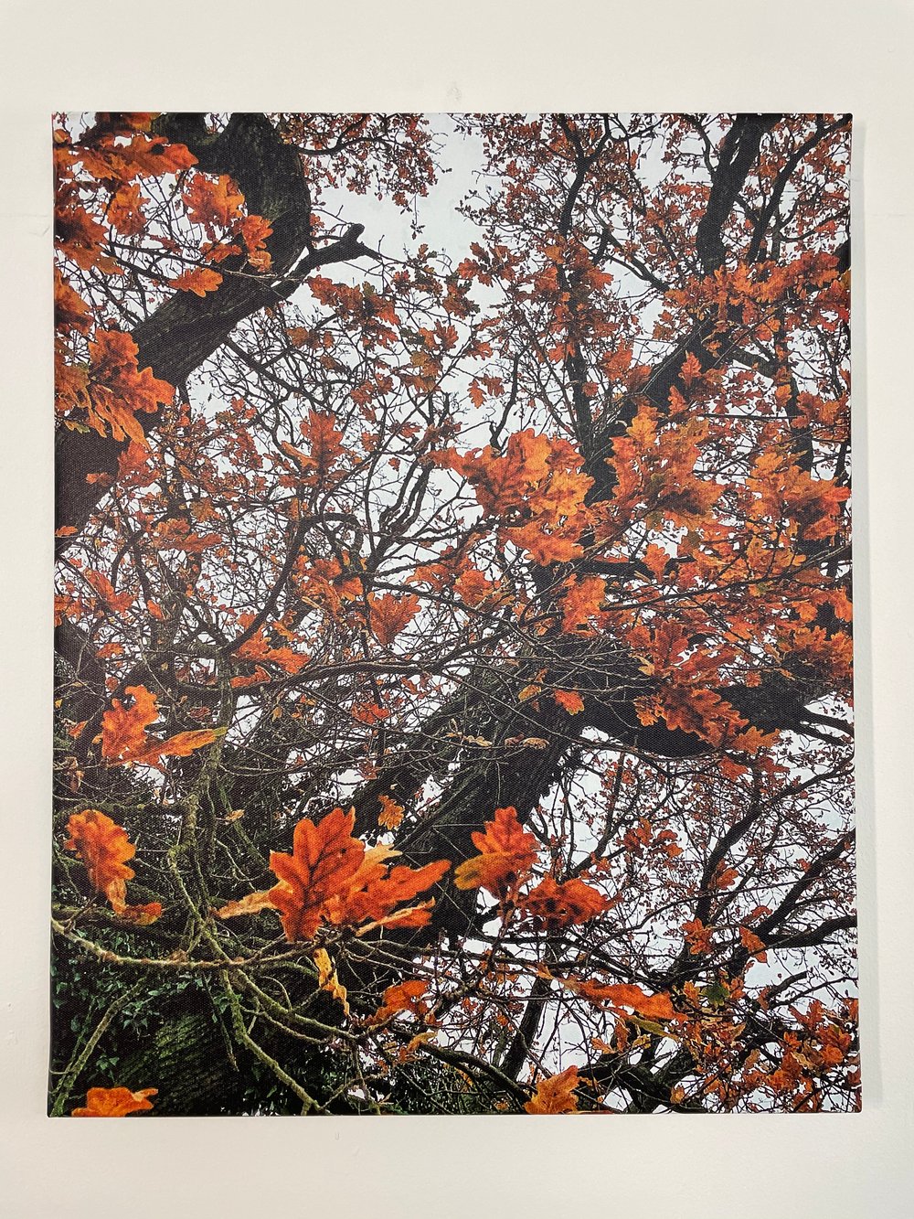 Image of Tangerine Skies (40x50)