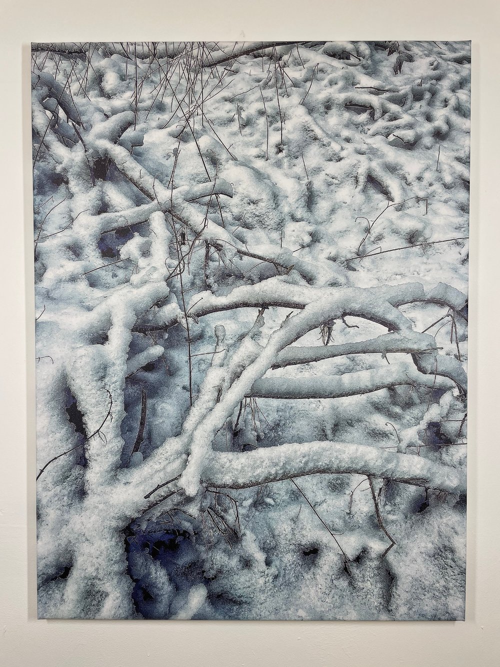 Image of Iced (40x50)
