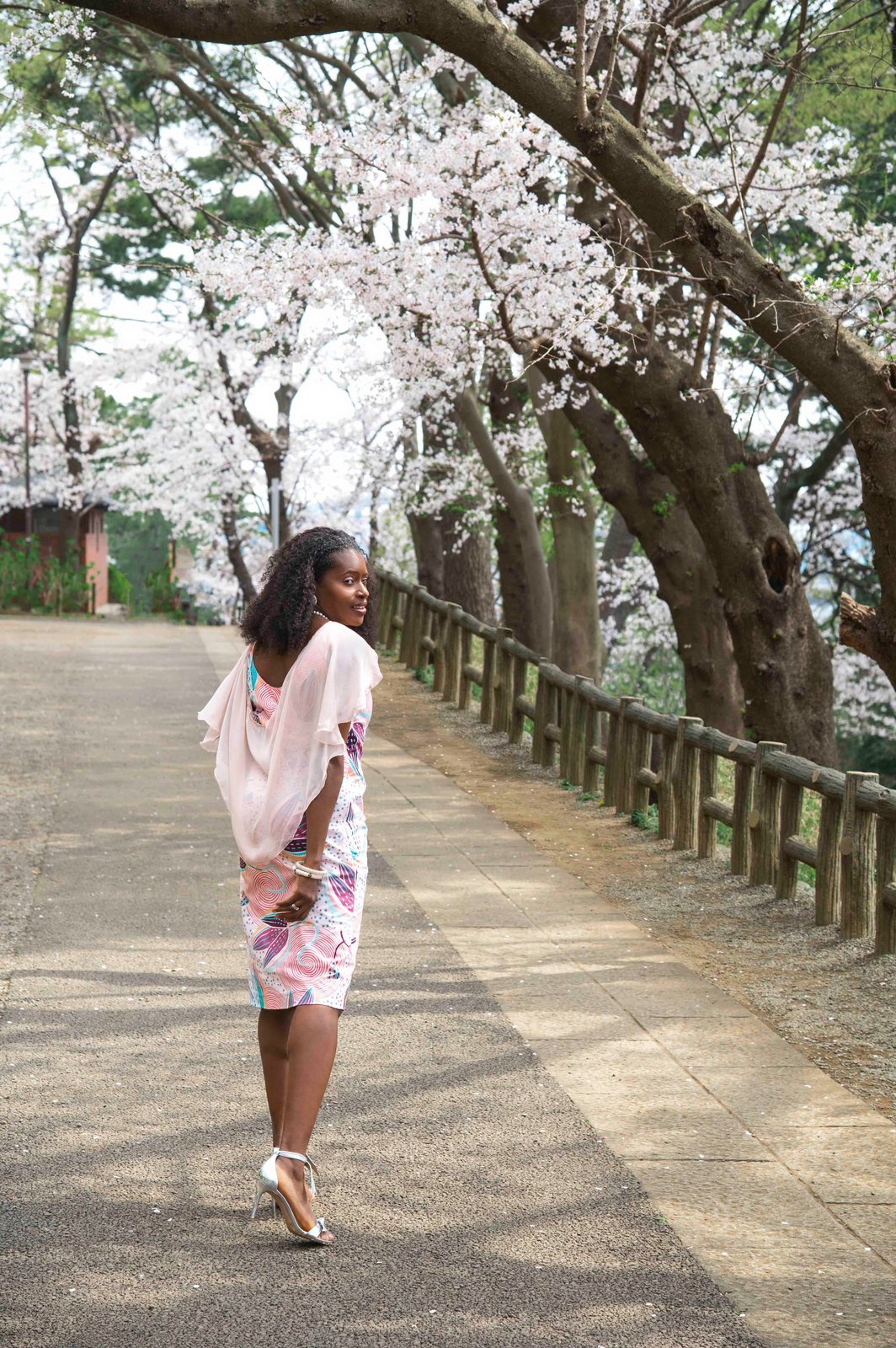 Sakura | Reina de Santiago