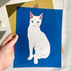 Pet Portrait 