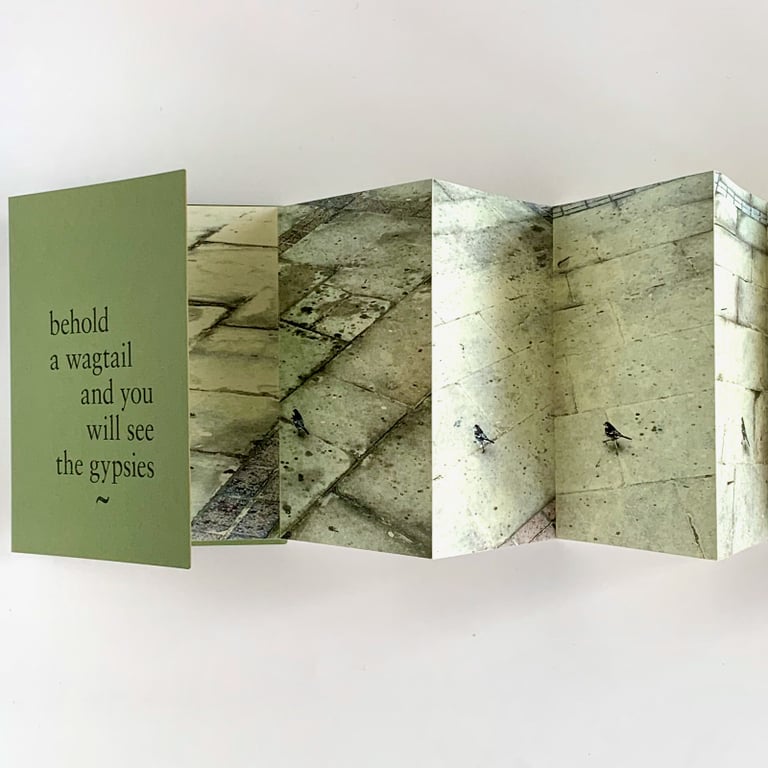 behold a wagtail and you will see the gypsies Image 2