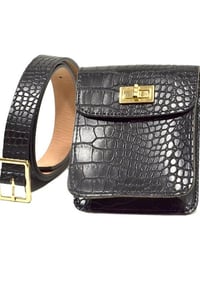 Image 4 of CHIC BELT PURSE