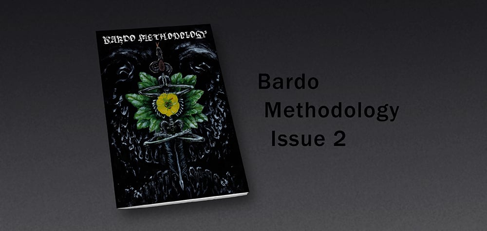 Image of Bardo Methodology #2