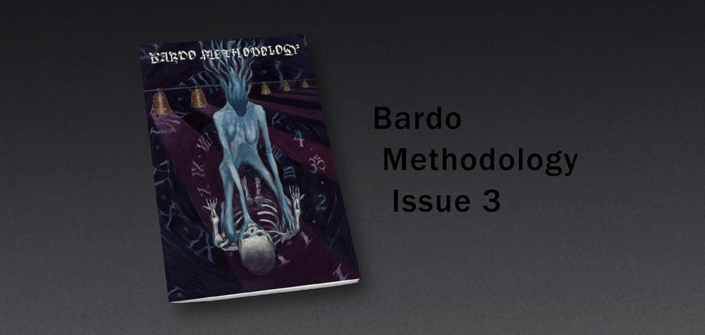 Image of Bardo Methodology #3
