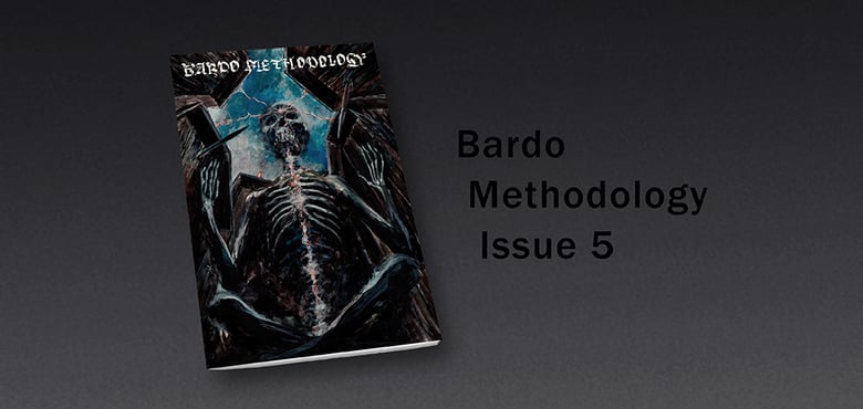 Image of Bardo Methodology #5