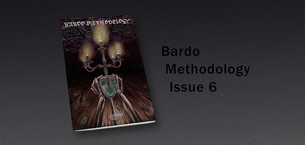 Image of Bardo Methodology #6