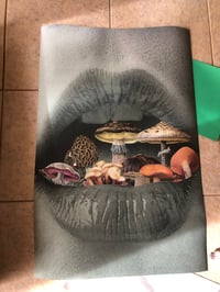 Image 1 of Mush mouth xl poster 