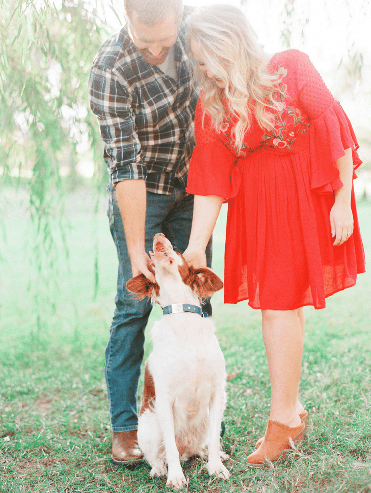 Image of October 8th, 2022: Fall Mini Session