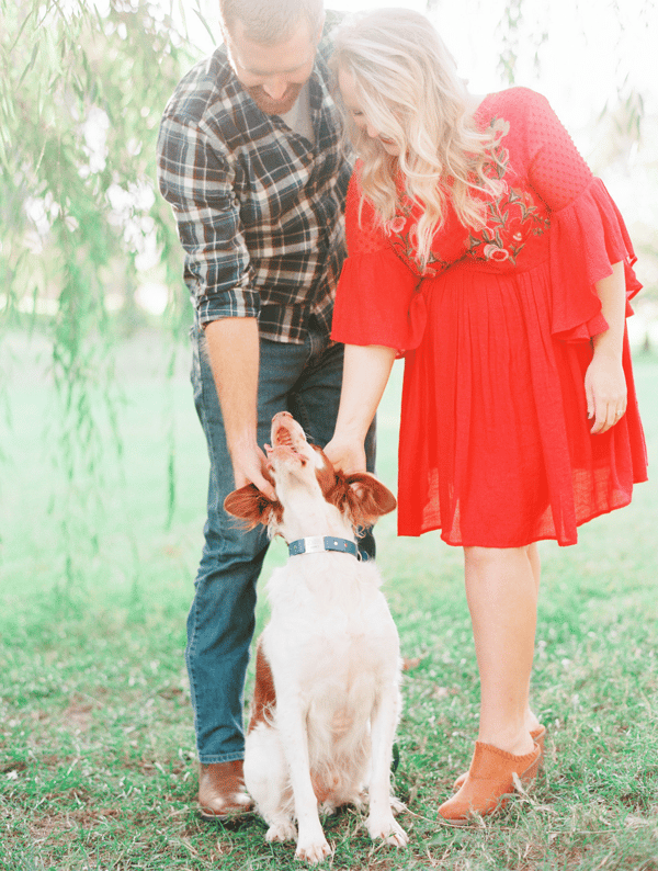 Image of October 8th, 2022: Fall Mini Session
