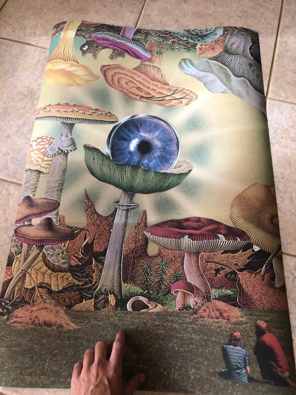 Upside down shrooms XL poster 