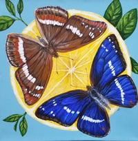 Image 1 of Purple Emperor Butterfly 