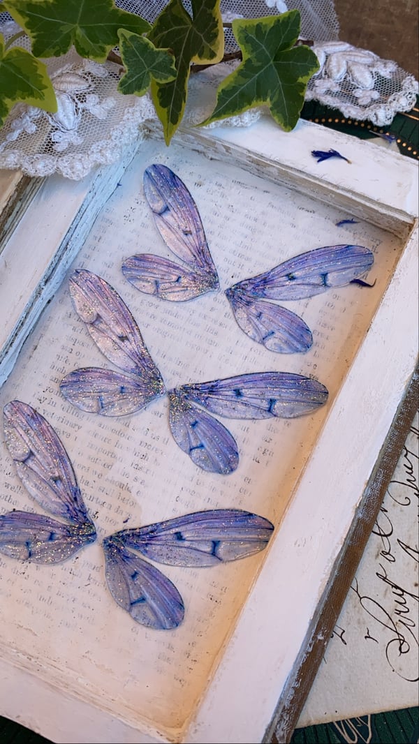 Image of New bluebell inspired faerie wings