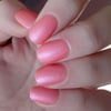 Azalea Petals 