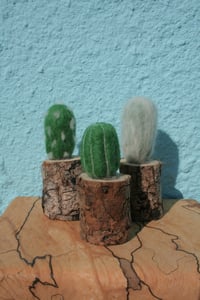 Image 5 of FELT