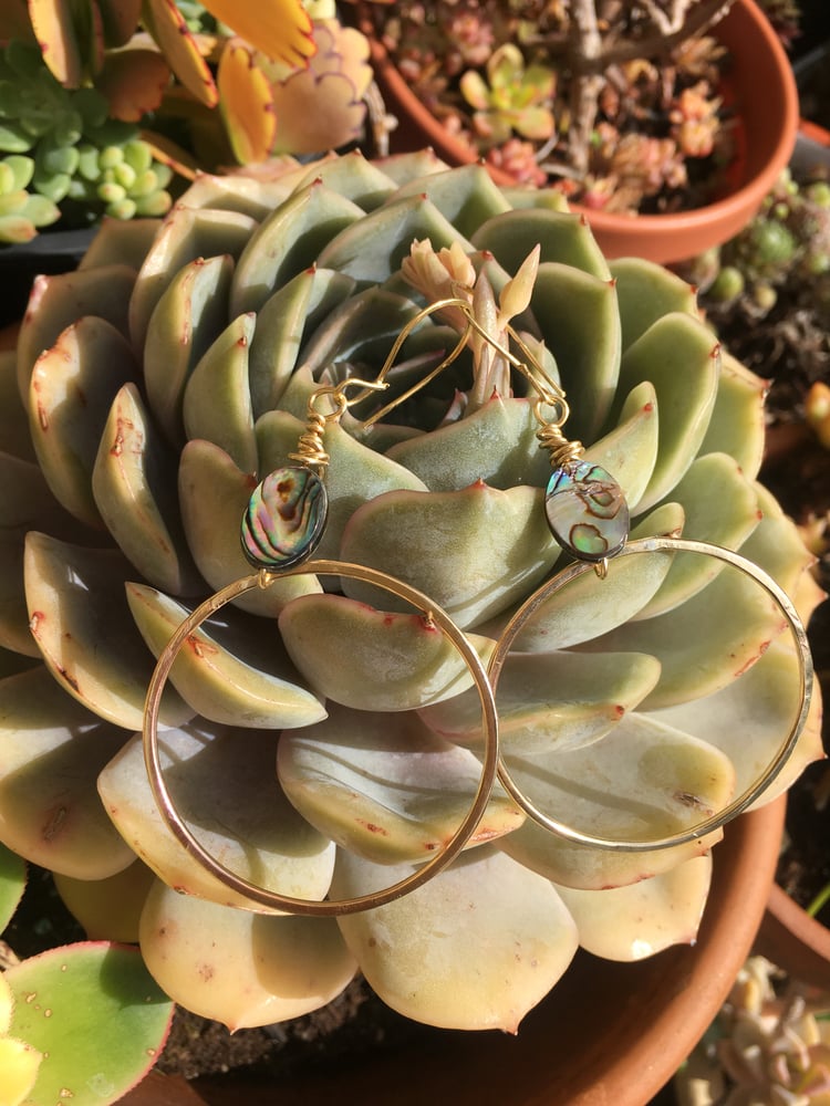 Image of Paua Shell Hoops