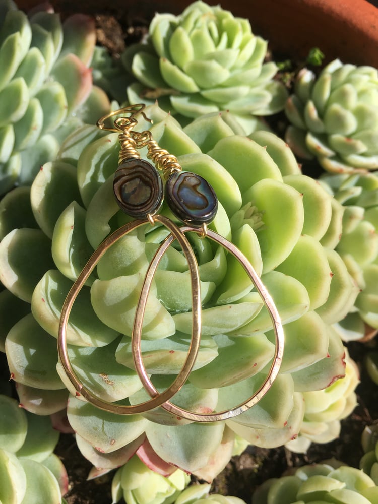 Image of Paua Shell Teardrop Earrings