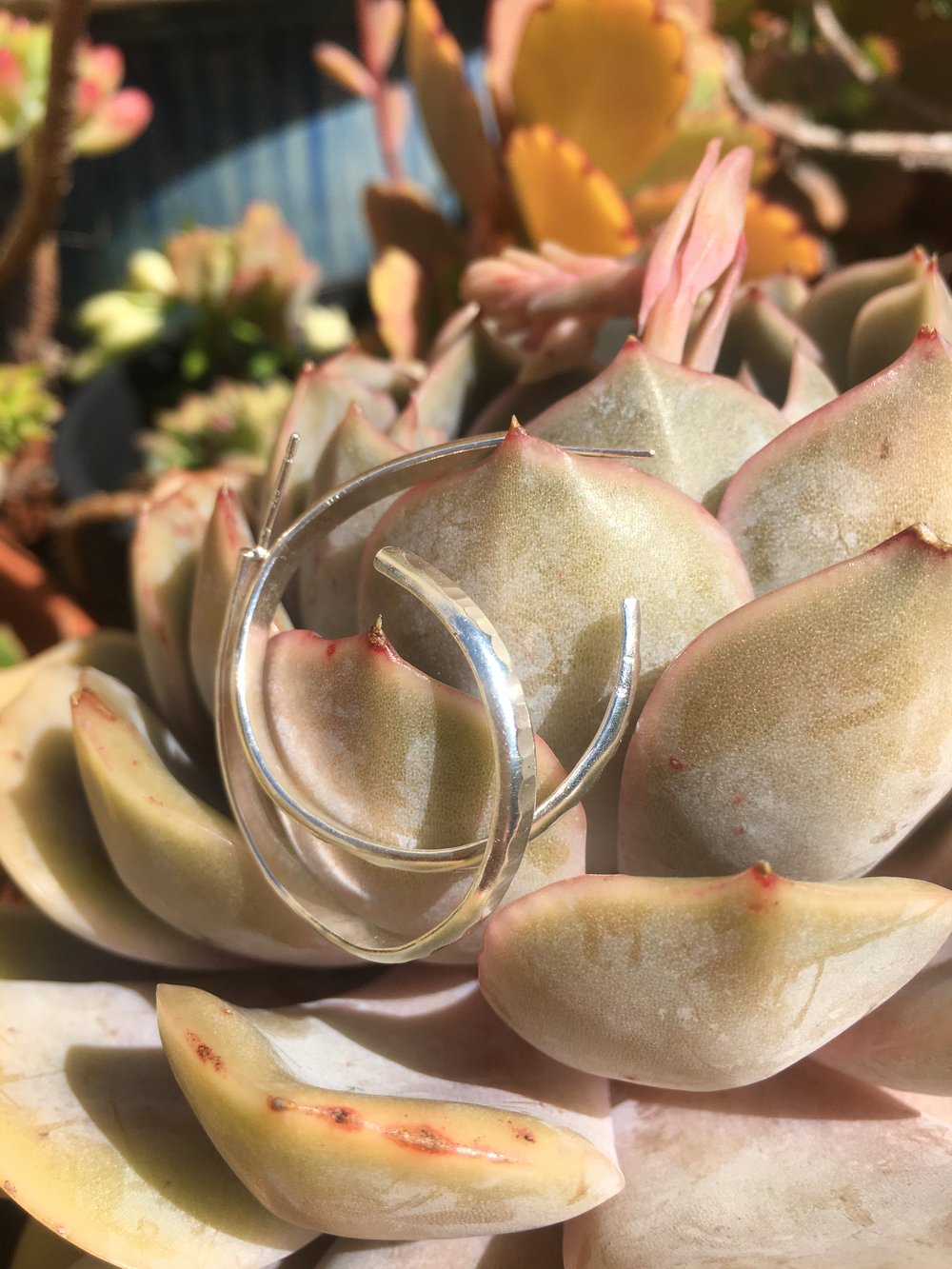 Image of Textured Silver Hoops 