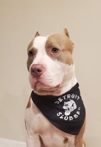 Image 1 of                                   Detroit Slobber 