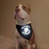 Image 2 of                                   Detroit Slobber 