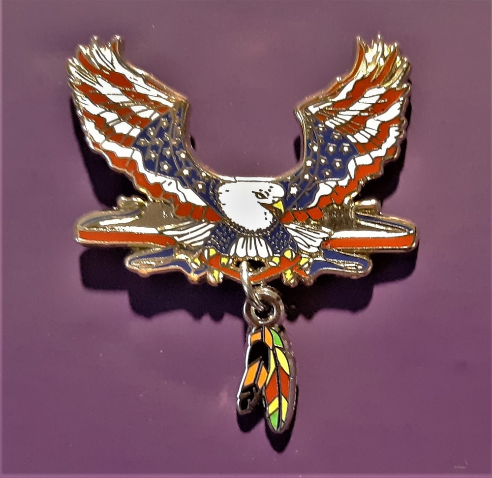 Image of Vietnam Veteran Patriotic Eagle 2 Feathers Pin