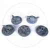 Skull Wasteland Miniature Bases