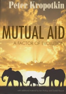 Image of Mutual Aid: A Factor of Evolution
