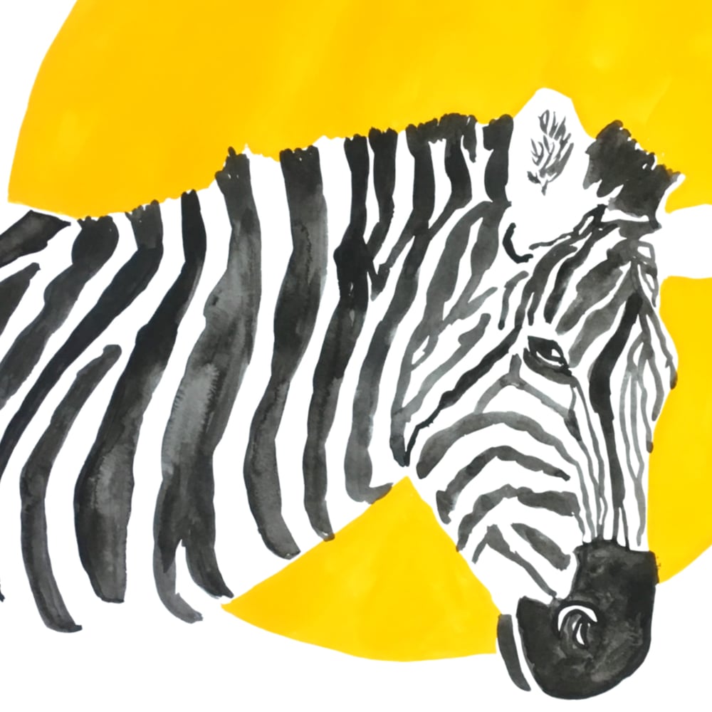Image of Zebra print 