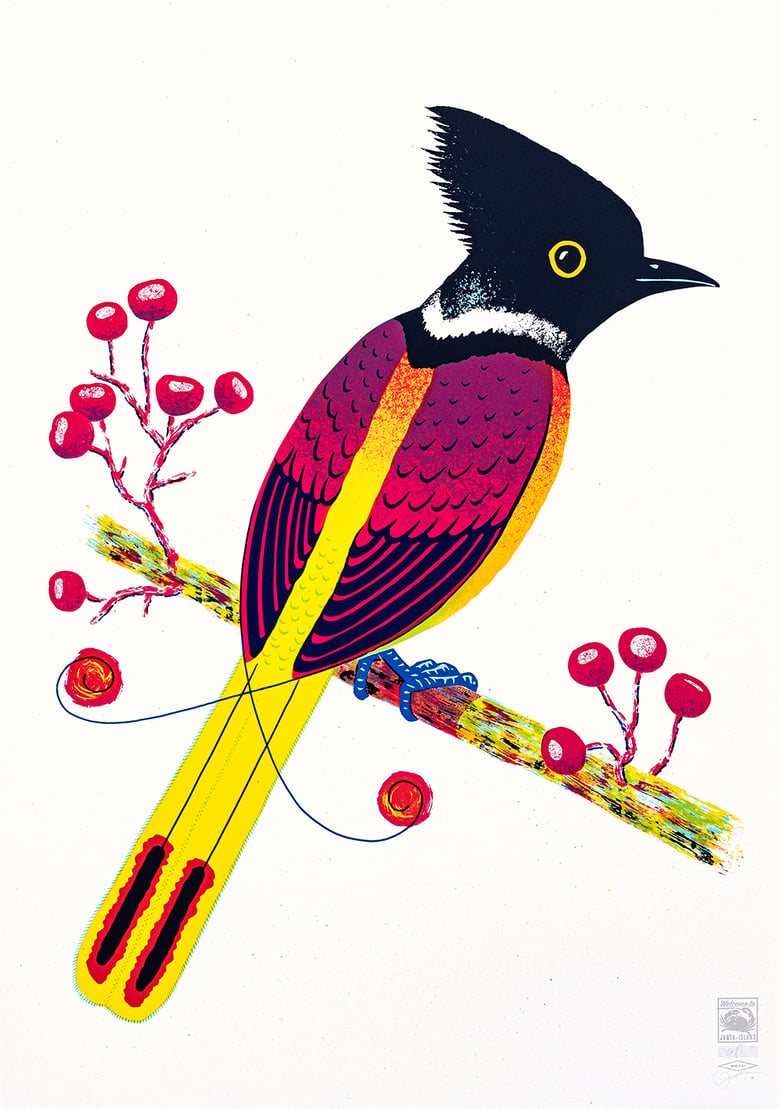 Image of »Bird of Janta Island«