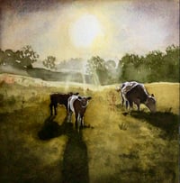 ‘Cattle at Dawn’ (giclee print)