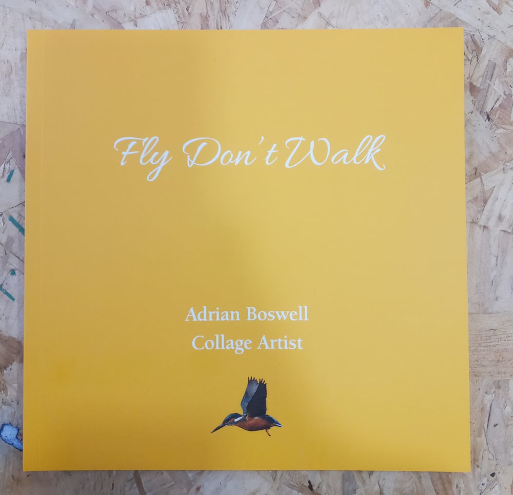 Image of FLY DON'T WALK (2018)